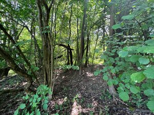 Na predaj Rekreačný pozemok v blízkosti Púchova- 3432 m2 — foto 5