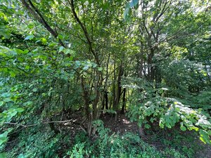 Na predaj Rekreačný pozemok v blízkosti Púchova- 3432 m2 — foto 6