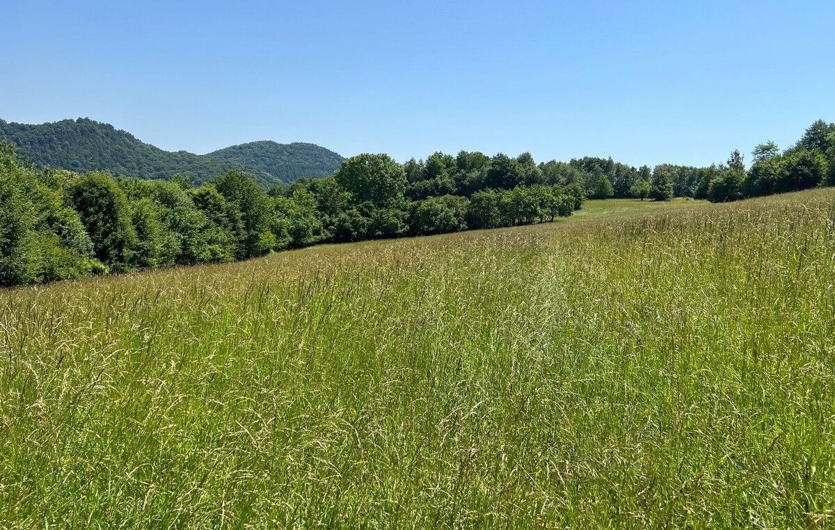 Rekreačný pozemok v obci Nimnica 3233m2