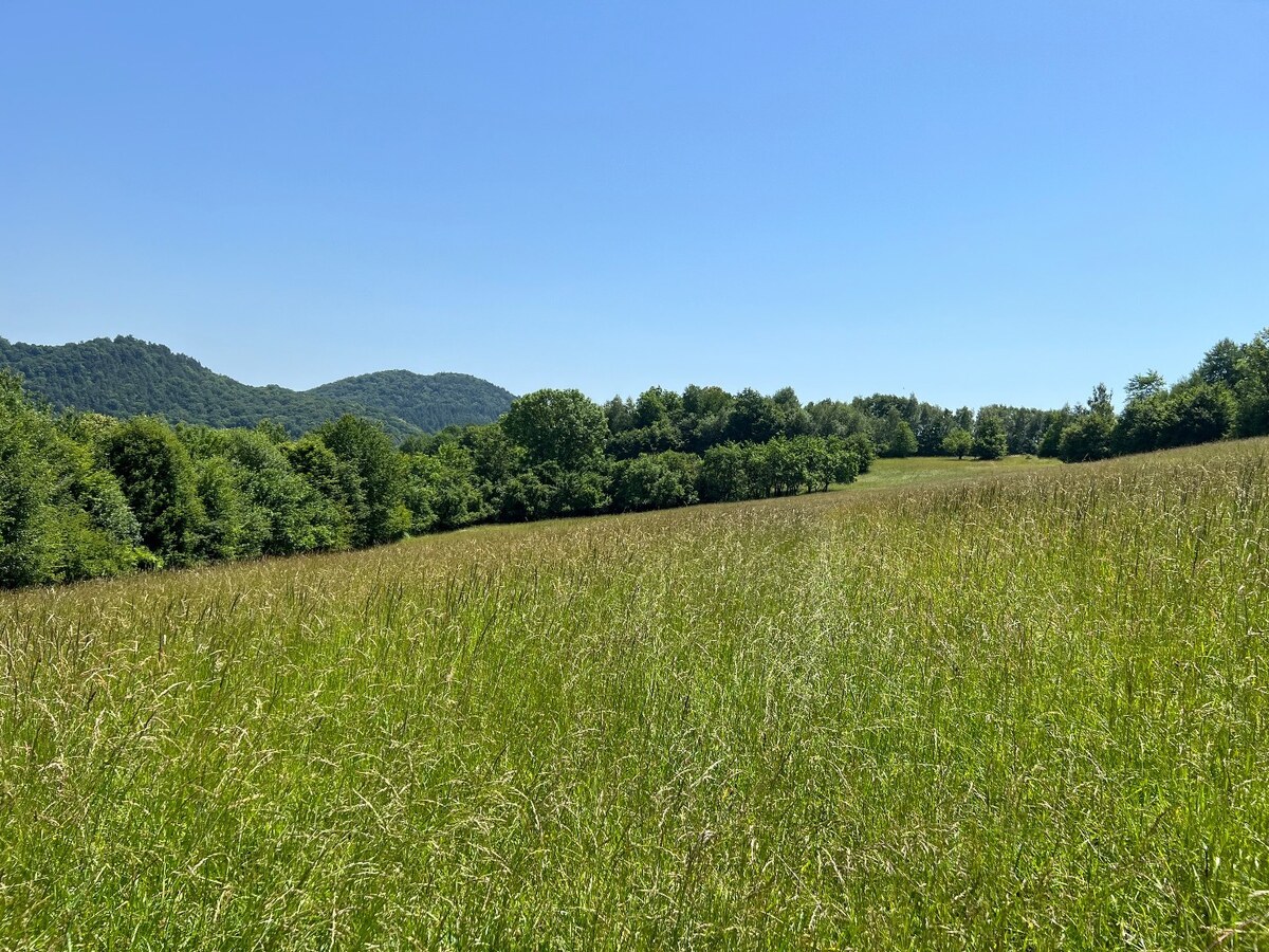 Rekreačný pozemok v obci Nimnica 3233m2 — foto 2