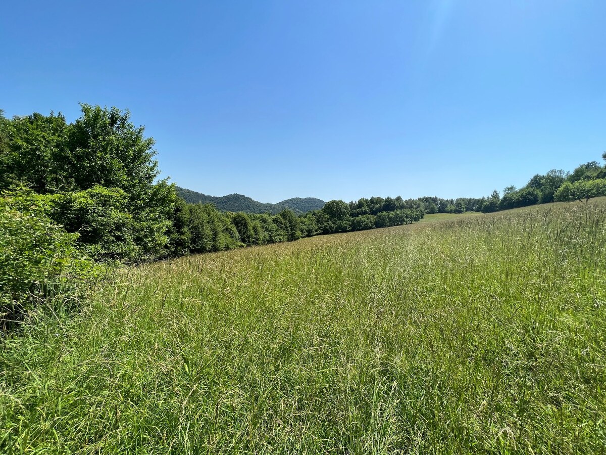 Rekreačný pozemok v obci Nimnica 3233m2 — foto 3