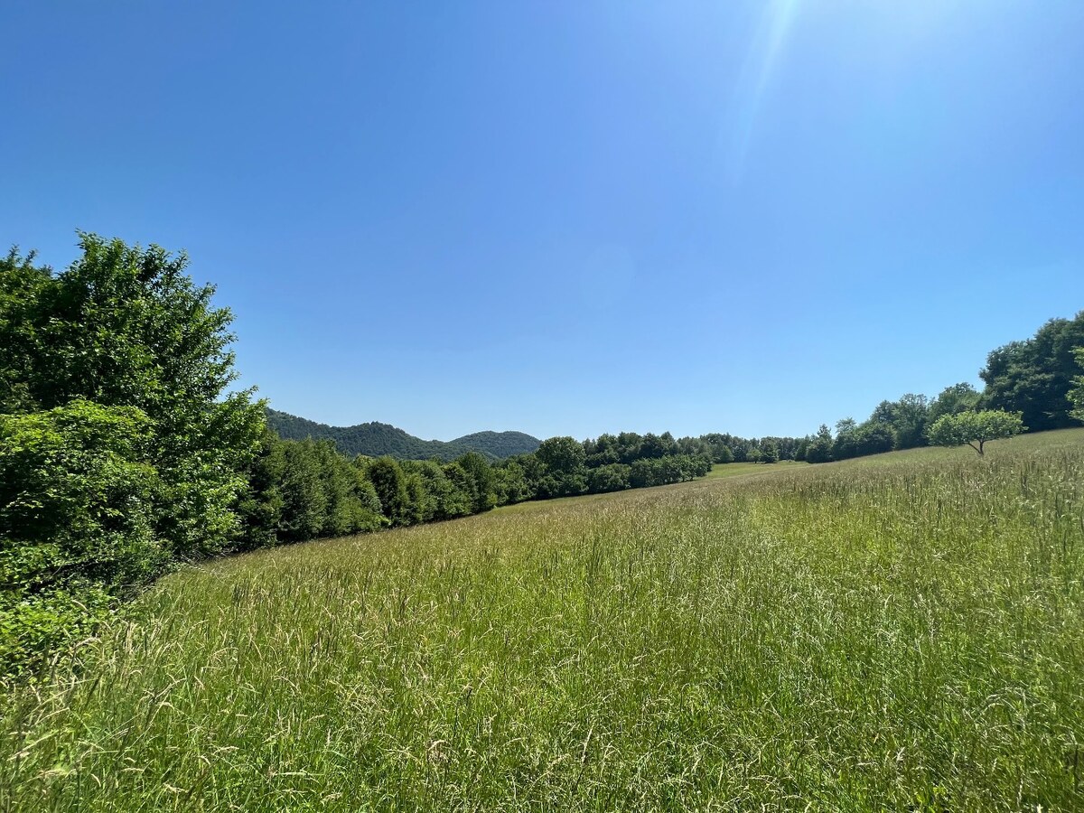 Rekreačný pozemok v obci Nimnica 3233m2 — foto 4