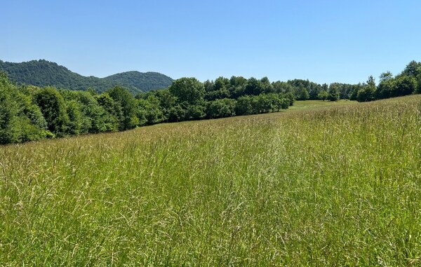 Rekreačný pozemok v obci Nimnica 3233m2
