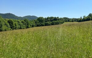 Rekreačný pozemok v obci Nimnica 3233m2 — foto 1