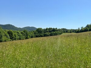 Rekreačný pozemok v obci Nimnica 3233m2 — foto 2