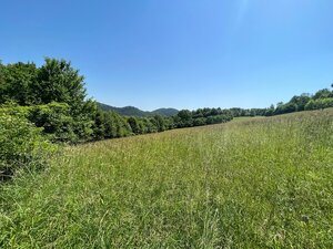 Rekreačný pozemok v obci Nimnica 3233m2 — foto 3