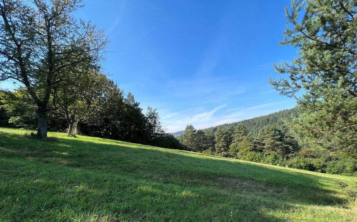 Slnečný rekreačný pozemok v tichej lokalite pod lesom- Zbora 4.705m2
