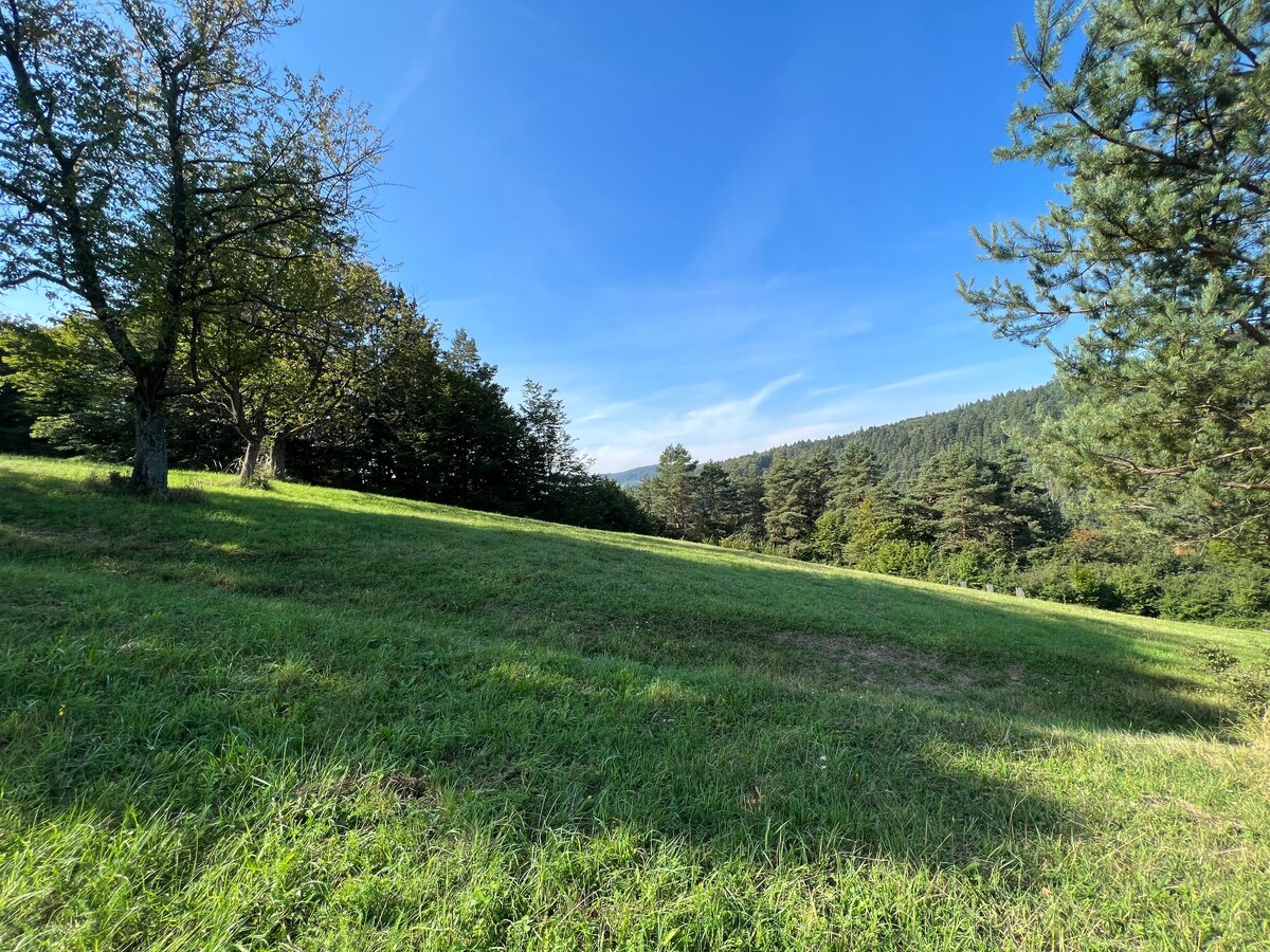 Slnečný rekreačný pozemok v tichej lokalite pod lesom- Zbora 4.705m2 — foto 2