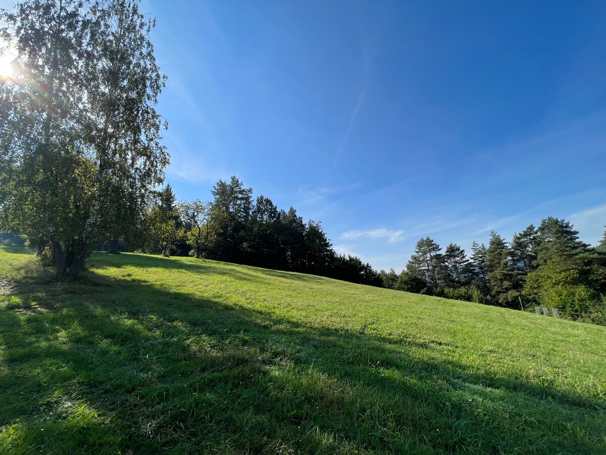 Slnečný rekreačný pozemok v tichej lokalite pod lesom- Zbora 4.705m2 — foto 4