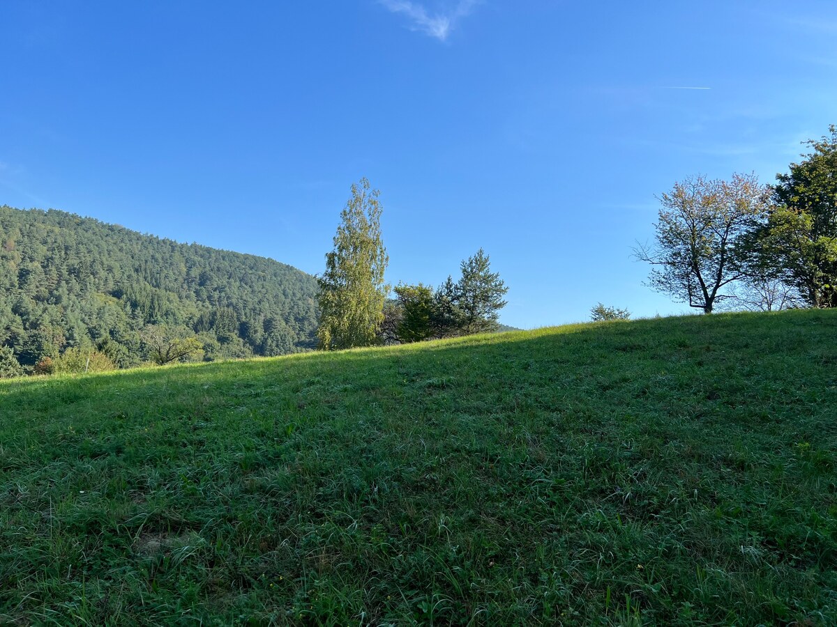 Slnečný rekreačný pozemok v tichej lokalite pod lesom- Zbora 4.705m2 — foto 5