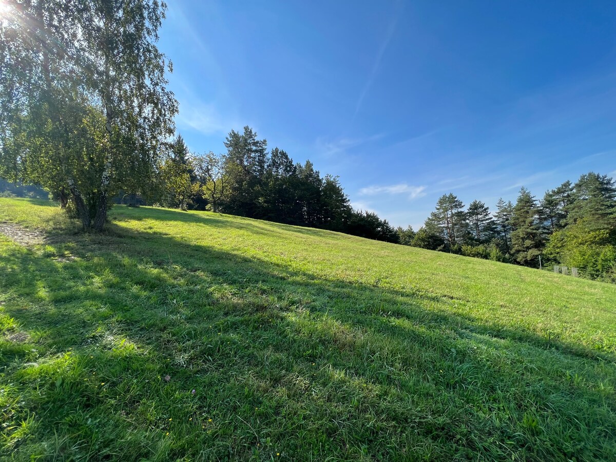 Slnečný rekreačný pozemok v tichej lokalite pod lesom- Zbora 4.705m2 — foto 6