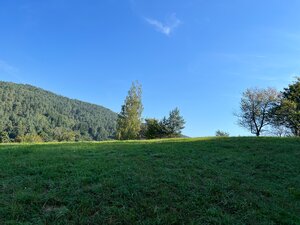 Slnečný rekreačný pozemok v tichej lokalite pod lesom- Zbora 4.705m2 — foto 3