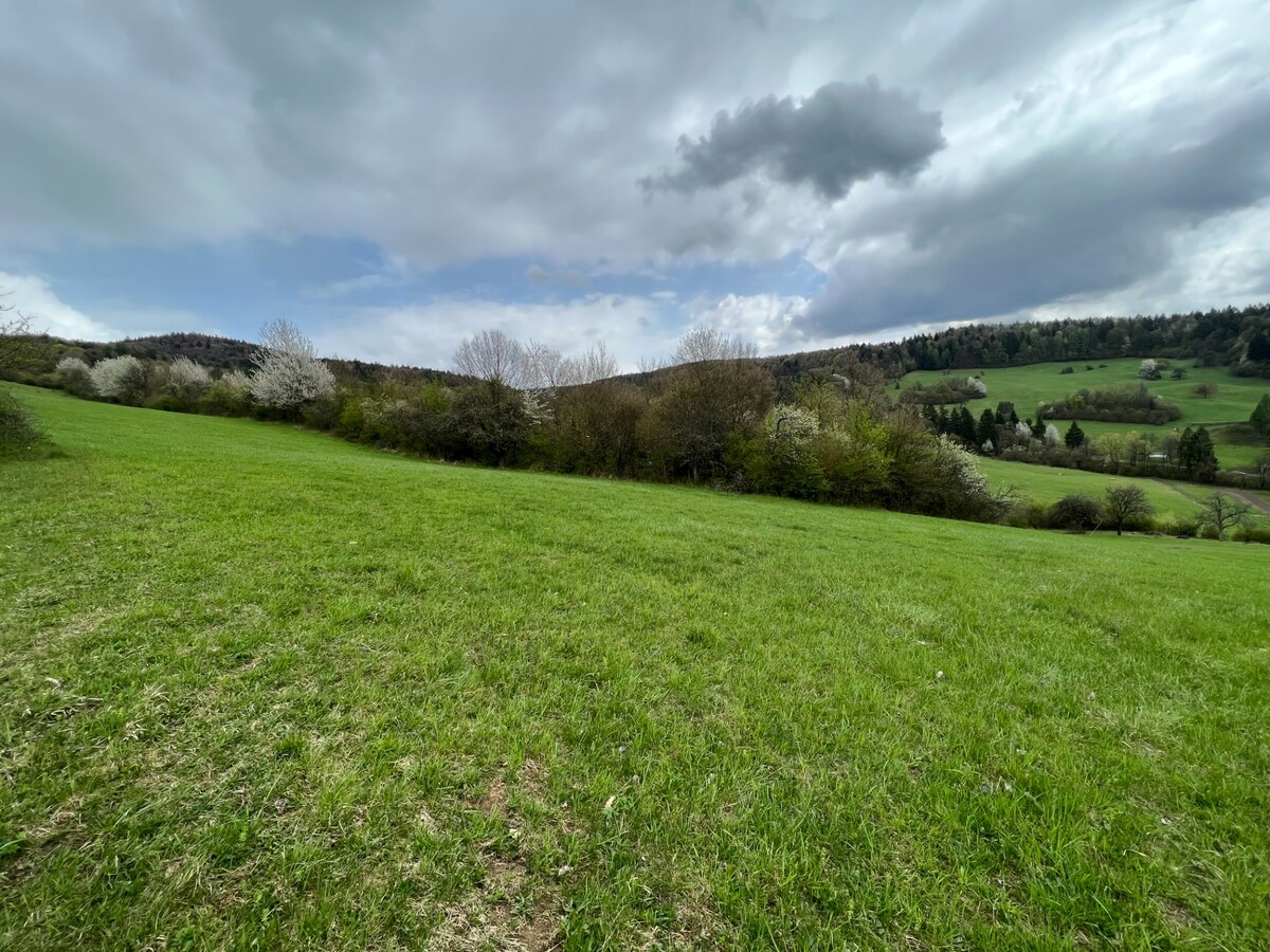 Rekreačný pozemok vo vyhľadávanej obci Zbora- 2.399m2 — foto 2