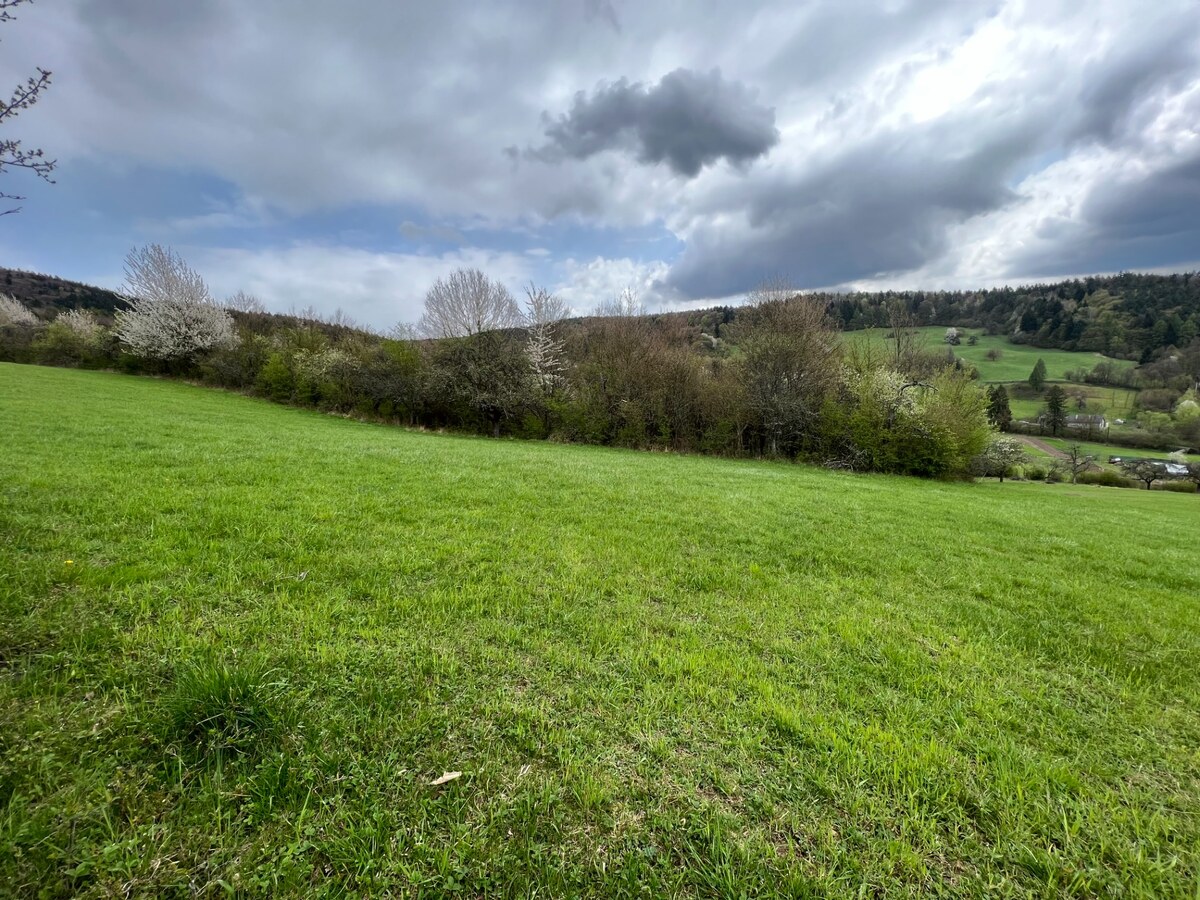 Rekreačný pozemok vo vyhľadávanej obci Zbora- 2.399m2 — foto 3