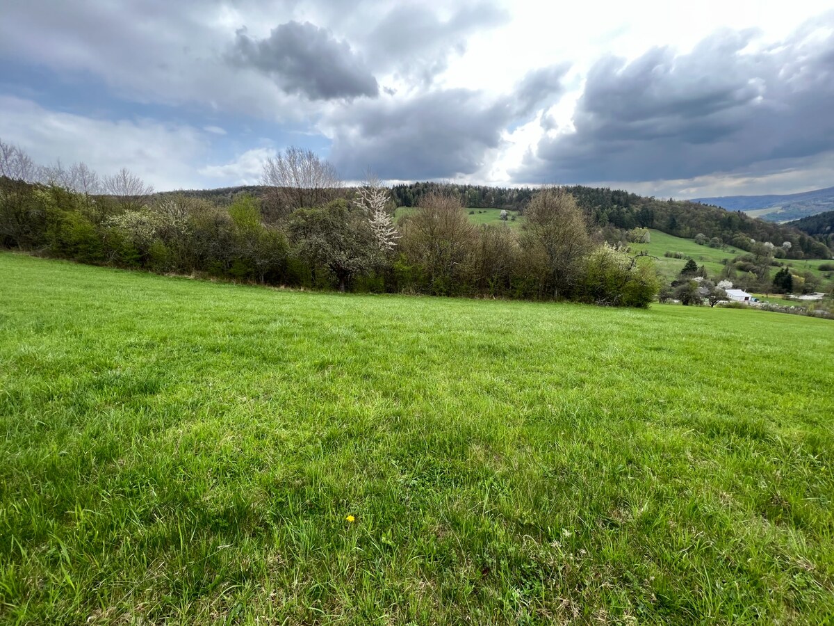 Rekreačný pozemok vo vyhľadávanej obci Zbora- 2.399m2 — foto 5
