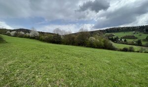 Rekreačný pozemok vo vyhľadávanej obci Zbora- 2.399m2 — foto 1