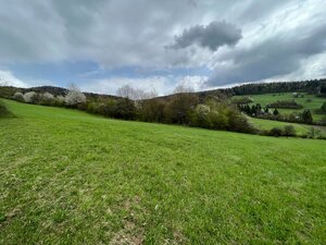 Rekreačný pozemok vo vyhľadávanej obci Zbora- 2.399m2 — foto 2