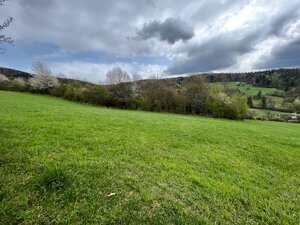 Rekreačný pozemok vo vyhľadávanej obci Zbora- 2.399m2 — foto 3
