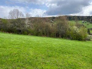Rekreačný pozemok vo vyhľadávanej obci Zbora- 2.399m2 — foto 4