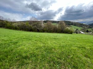 Rekreačný pozemok vo vyhľadávanej obci Zbora- 2.399m2 — foto 5