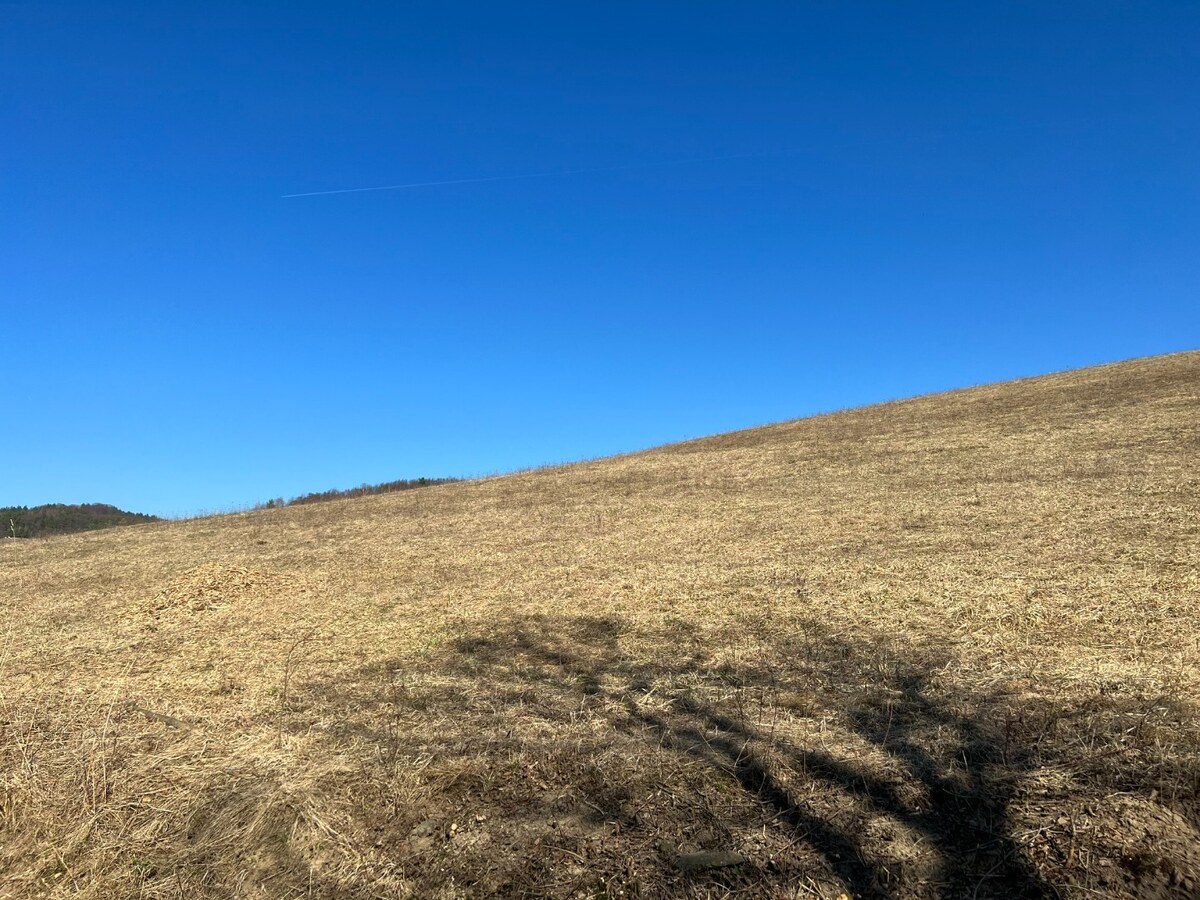 Slnečný svahovitý pozemok na výstavbu rodinných domov- 14.769 m2 — foto 2