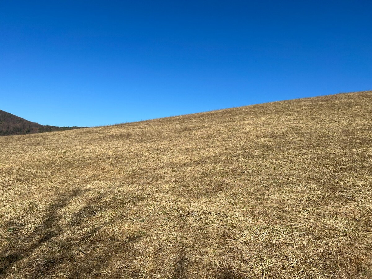 Slnečný svahovitý pozemok na výstavbu rodinných domov- 14.769 m2 — foto 4