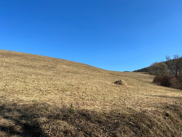 Slnečný svahovitý pozemok na výstavbu rodinných domov- 14.769 m2