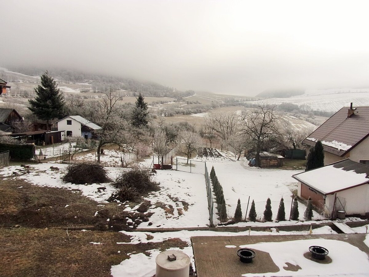 Penzión pred dokončením, 1250m2, 17 izieb, pozemok 1705m2, Zliechov — foto 3