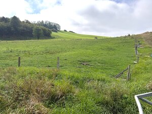 Stavebné pozemky v obci Veličná — foto 4