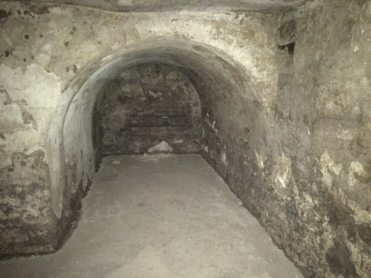 HISTORICKÁ BUDOVA / DOM - OBCHODY a BYTY v centre mesta Šahy — foto 16
