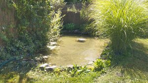 PREDAJ: DOM (CHALUPA) zastavaná plocha 135 m2 - Moštenica — foto 13