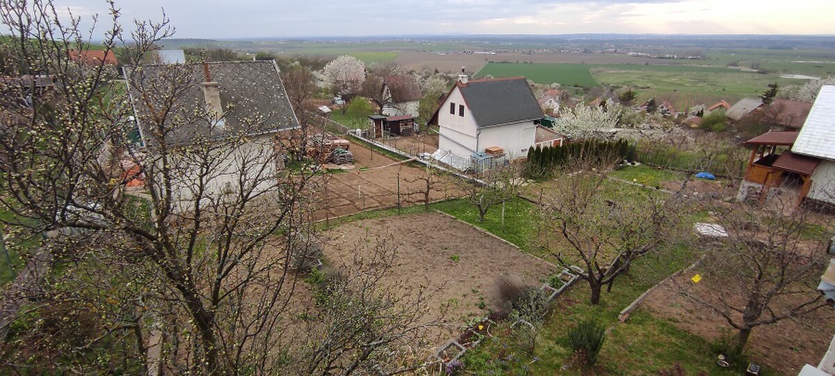 Predaj: Záhradka s pivnicou v Skalici - LIŠTINY - NOVÁ CENA !!!! — foto 7
