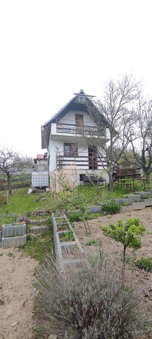 Predaj: Záhradka s pivnicou v Skalici - LIŠTINY - NOVÁ CENA !!!! — foto 3