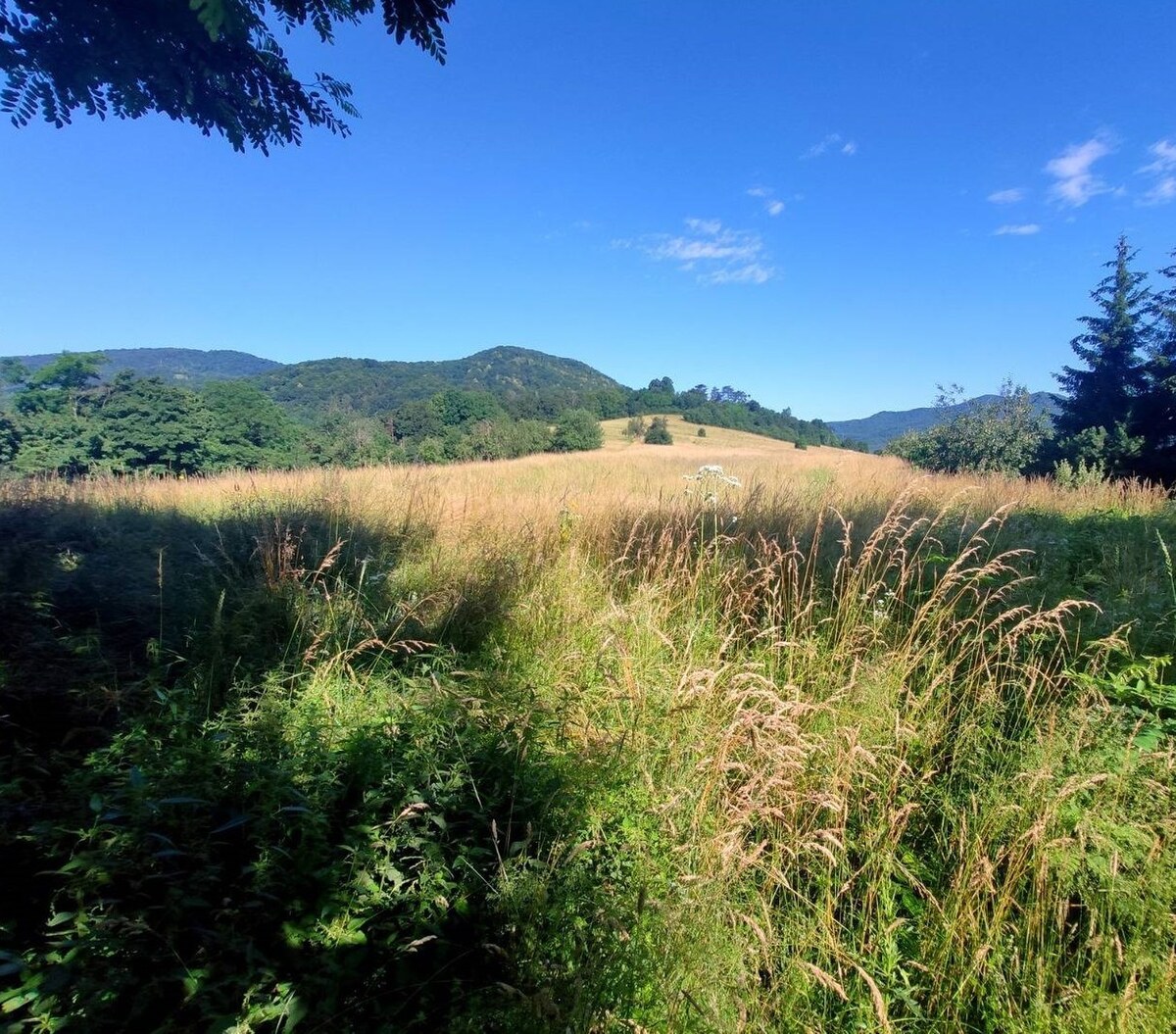 EXKLUZÍVNE ! pozemok na predaj, 9.429 m2, Turecká — foto 3