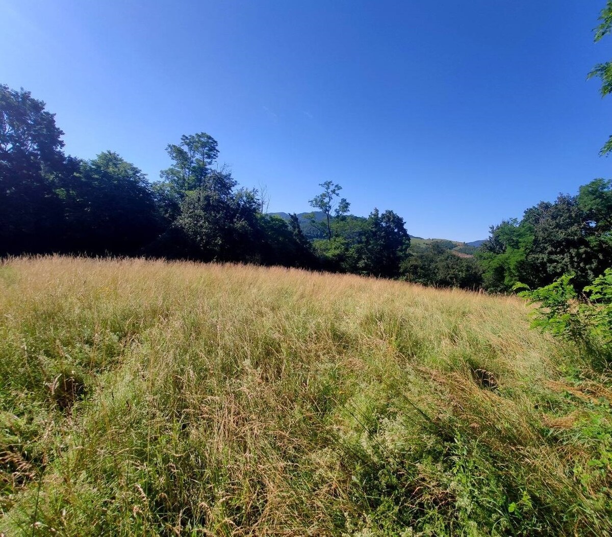 EXKLUZÍVNE ! pozemok na predaj, 9.429 m2, Turecká — foto 4