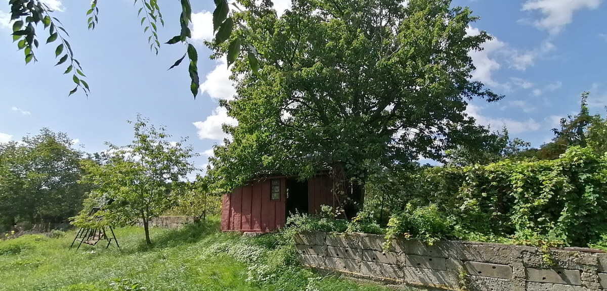 IBA U NÁS! Vinohrad s chatkou, 2 862m2, parkovanie, Nové Mesto n/Váhom — foto 4