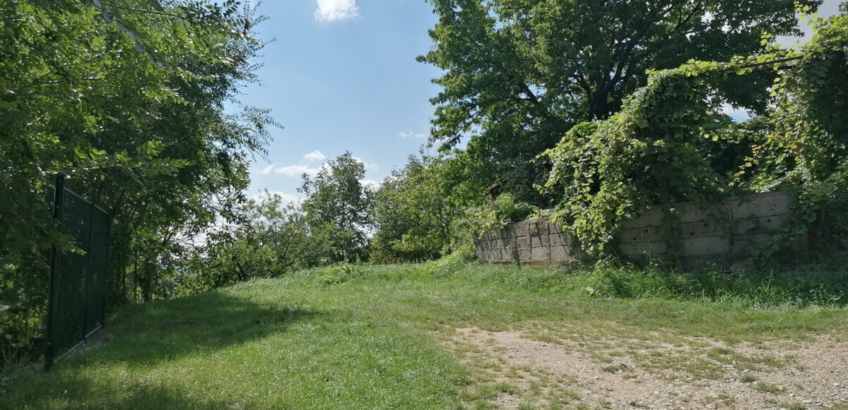 IBA U NÁS! Vinohrad s chatkou, 2 862m2, parkovanie, Nové Mesto n/Váhom — foto 5