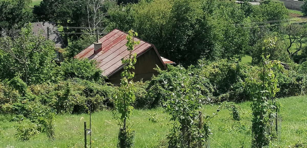 IBA U NÁS! Vinohrad s chatkou, 2 862m2, parkovanie, Nové Mesto n/Váhom — foto 8