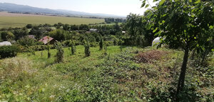 IBA U NÁS! Vinohrad s chatkou, 2 862m2, parkovanie, Nové Mesto n/Váhom — foto 3