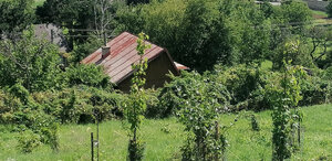 IBA U NÁS! Vinohrad s chatkou, 2 862m2, parkovanie, Nové Mesto n/Váhom — foto 8