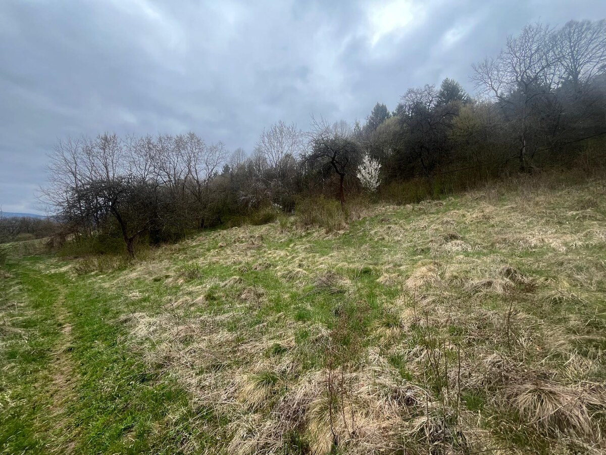 Investičný pozemok: rozloha: 4236 m2, Brusno - krásny výhľad — foto 11