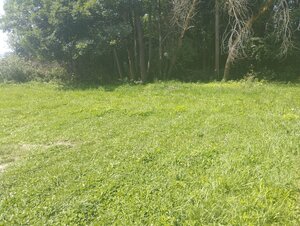 Predaj ! pozemok 720m2 (41mx17m) Pavčina Lehota-Liptovský Mikuláš — foto 6