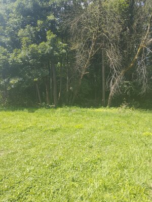 Predaj ! pozemok 720m2 (41mx17m) Pavčina Lehota-Liptovský Mikuláš — foto 8