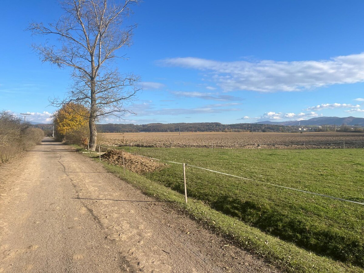 POZEMOK: 2.070 m2, k.ú. Hájniky (Sliač) možnosť výstavby — foto 2