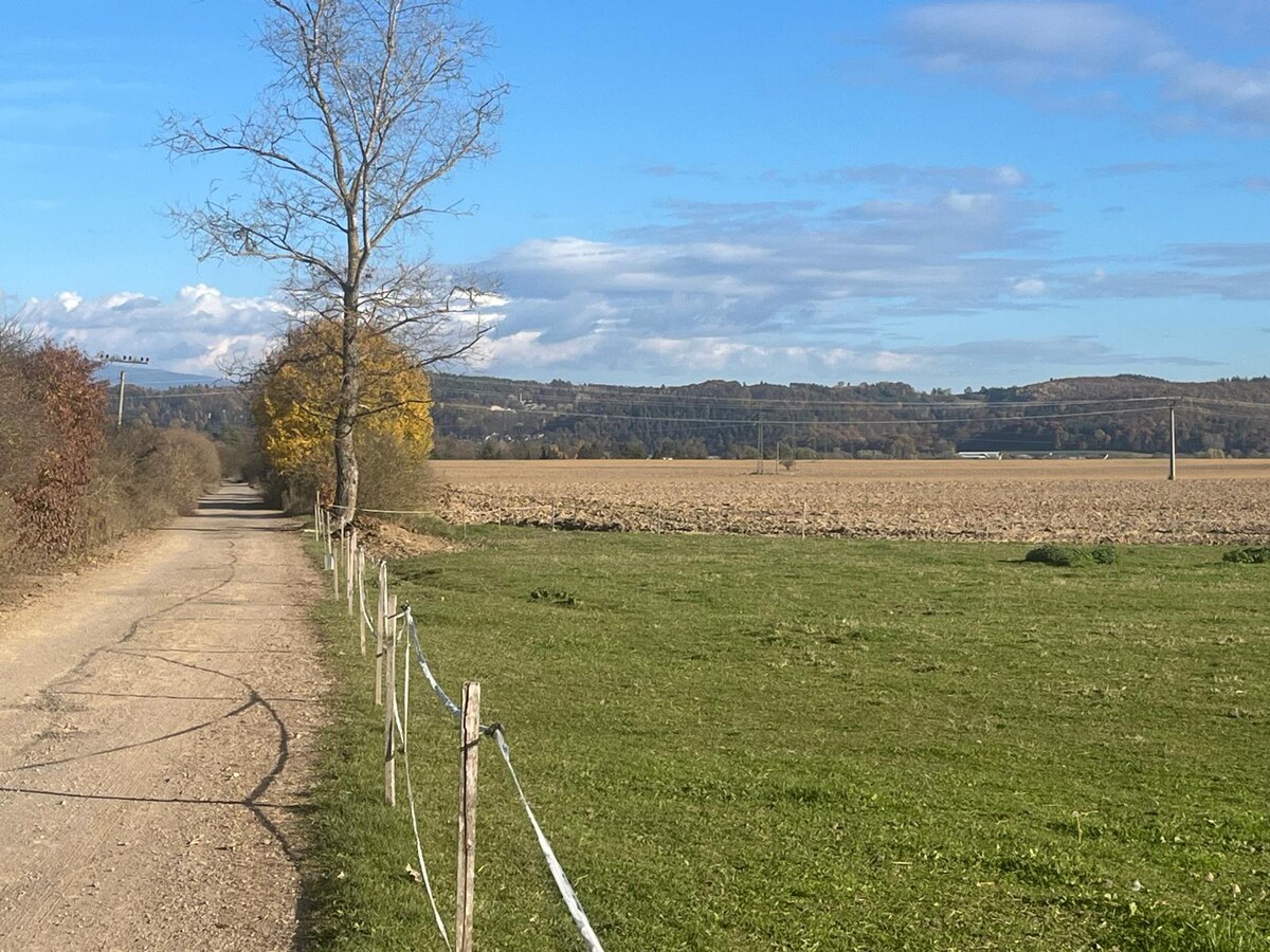 POZEMOK: 2.070 m2, k.ú. Hájniky (Sliač) možnosť výstavby — foto 3