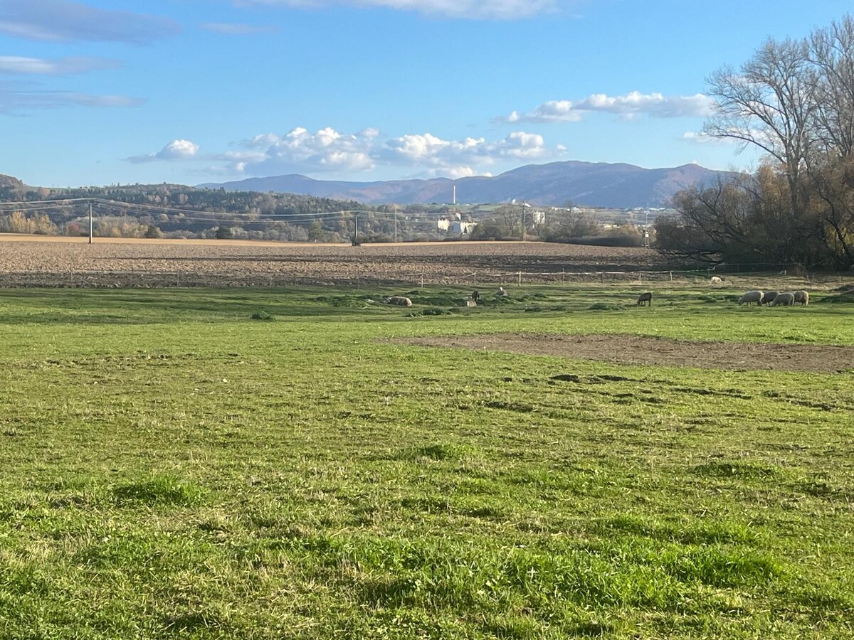POZEMOK: 2.070 m2, k.ú. Hájniky (Sliač) možnosť výstavby — foto 5