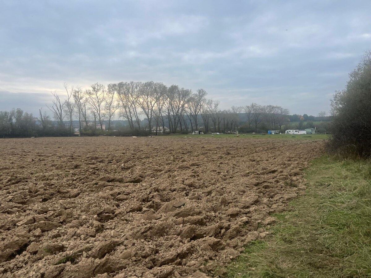 POZEMOK: 2.070 m2, k.ú. Hájniky (Sliač) možnosť výstavby — foto 9
