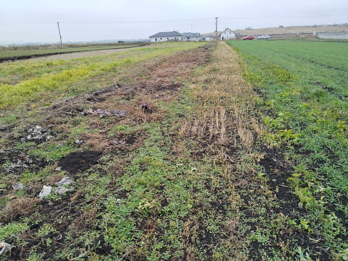 Predaj Stavebný pozemok, 2281 m2, Rakovo, Siete v Blízkosti — foto 5