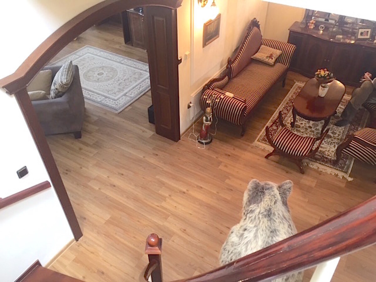 LUXUSNÁ rodinná vila 660 m2, pozemok 3.730 m2, Lošonec pri Trnave — foto 12