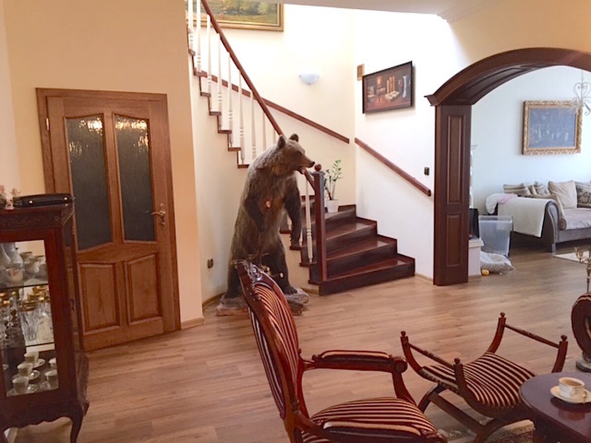 LUXUSNÁ rodinná vila 660 m2, pozemok 3.730 m2, Lošonec pri Trnave — foto 19